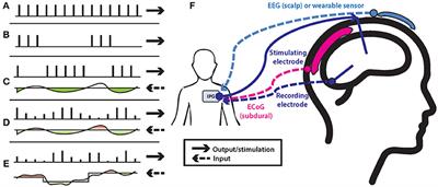 Biomarkers and Stimulation Algorithms for Adaptive Brain Stimulation